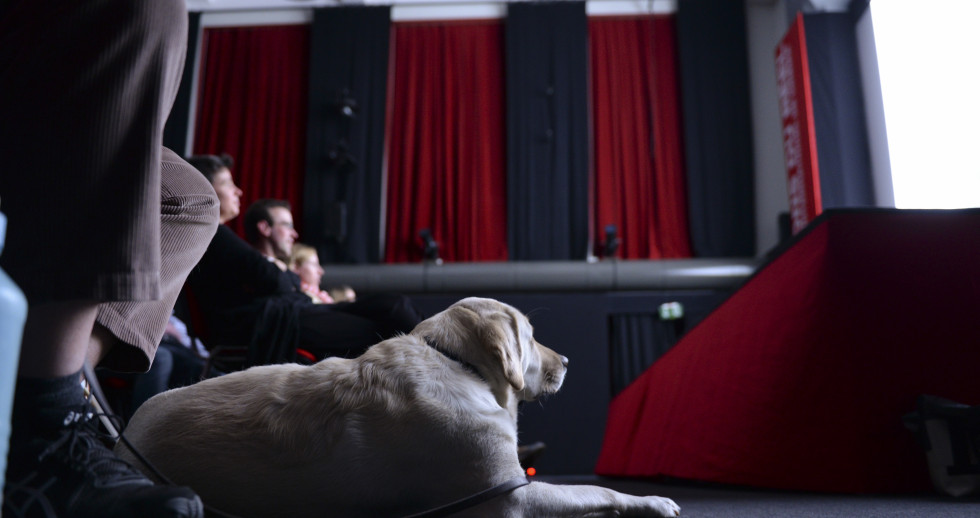 Un chien guide d’aveugle aux pieds de son maître assis au premier rang d’une salle de projection.