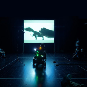Eine Person in einem Elektrorollstuhl auf einer Bühne, einer Videoprojektion zugewandt, auf der eine Hand und ein verschwommener Schatten sind. Menschen am Bühnenrand schauen zur Projektion.